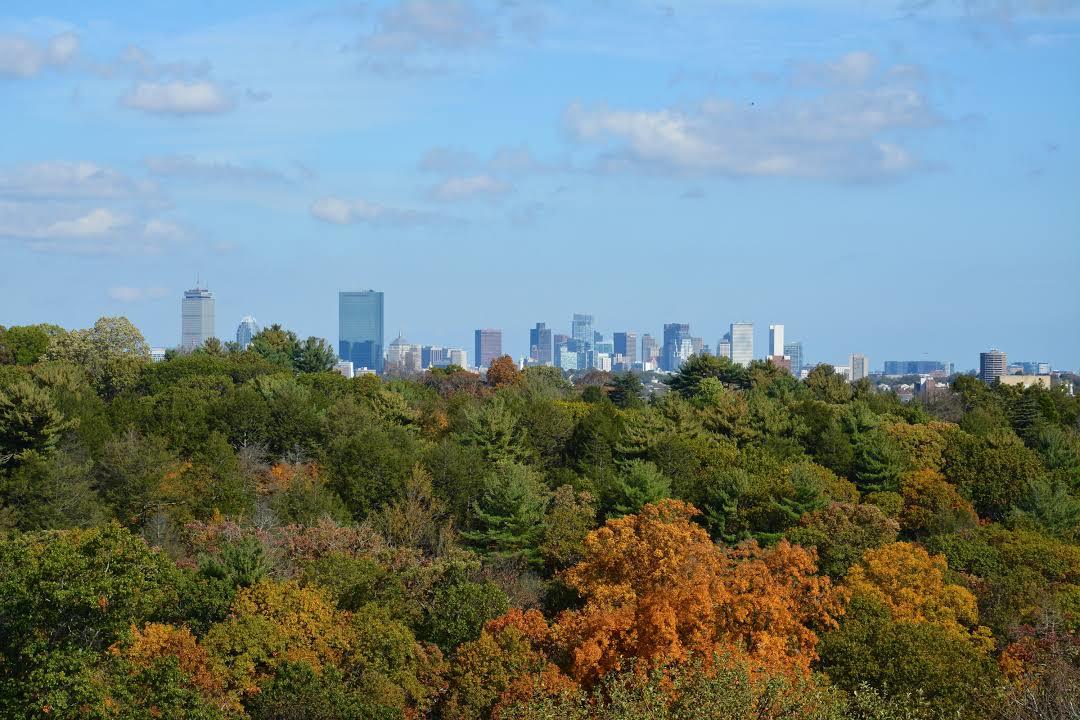 Arnold Arboretum